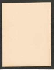 k.k. naturhistorisches Hofmuseum, Intendanzakten 1885-1896 (Hauer), Aktenzahl Z.504/1888, Seite 4
